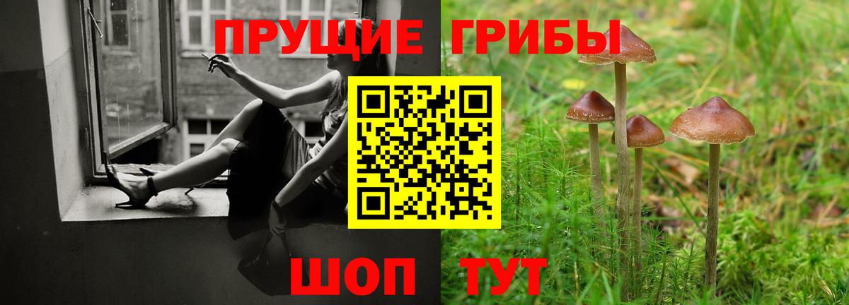 Псилоцибиновые грибы MAGIC MUSHROOMS Алейск